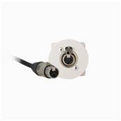 Plastron Céliane AUDIO XLR 3 Points NEUTRIK Femelle/Femelle, Blanc