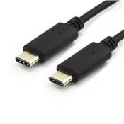 Câble USB C 3.1 SuperSpeed + Type C 10 Gbits/s Mâle/Mâle Contacts Plaqués Or 1,80m