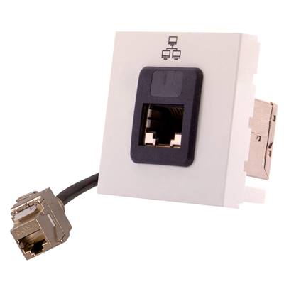 Plastron 45x45 Ethernet RJ45 S/FTP Cat6A Femelle/Femelle, Blanc