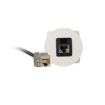 Plastron Céliane Ethernet RJ45 S/FTP Cat6A Femelle/Femelle, Blanc