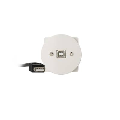 Plastron Céliane USB B 2.0 Femelle vers USB A 2.0 Femelle Blanc